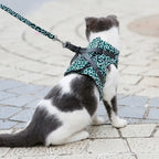 harnais large pour chat