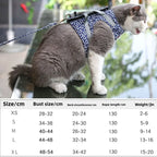 harnais large pour chat
