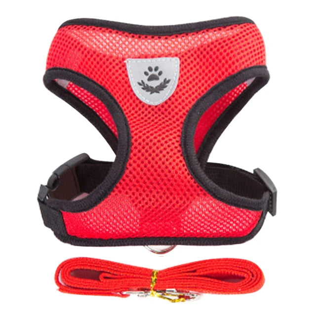 Harnais pour chat gilet respirant anti-fuite