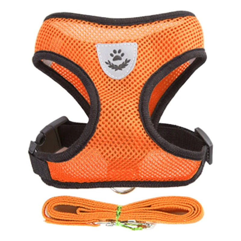 Harnais pour chat gilet respirant anti-fuite