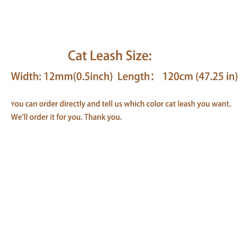 collier de chat en dentelle