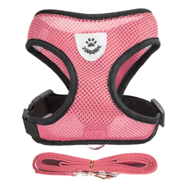 Harnais pour chat gilet respirant anti-fuite