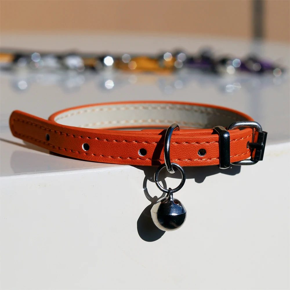 Colliers  en cuir durable pour chat