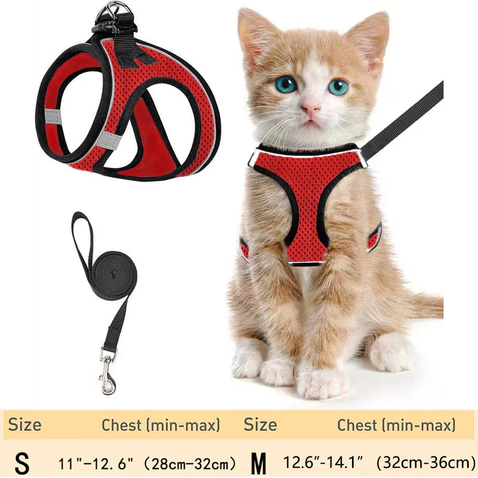 harnais pour chat haut de gamme