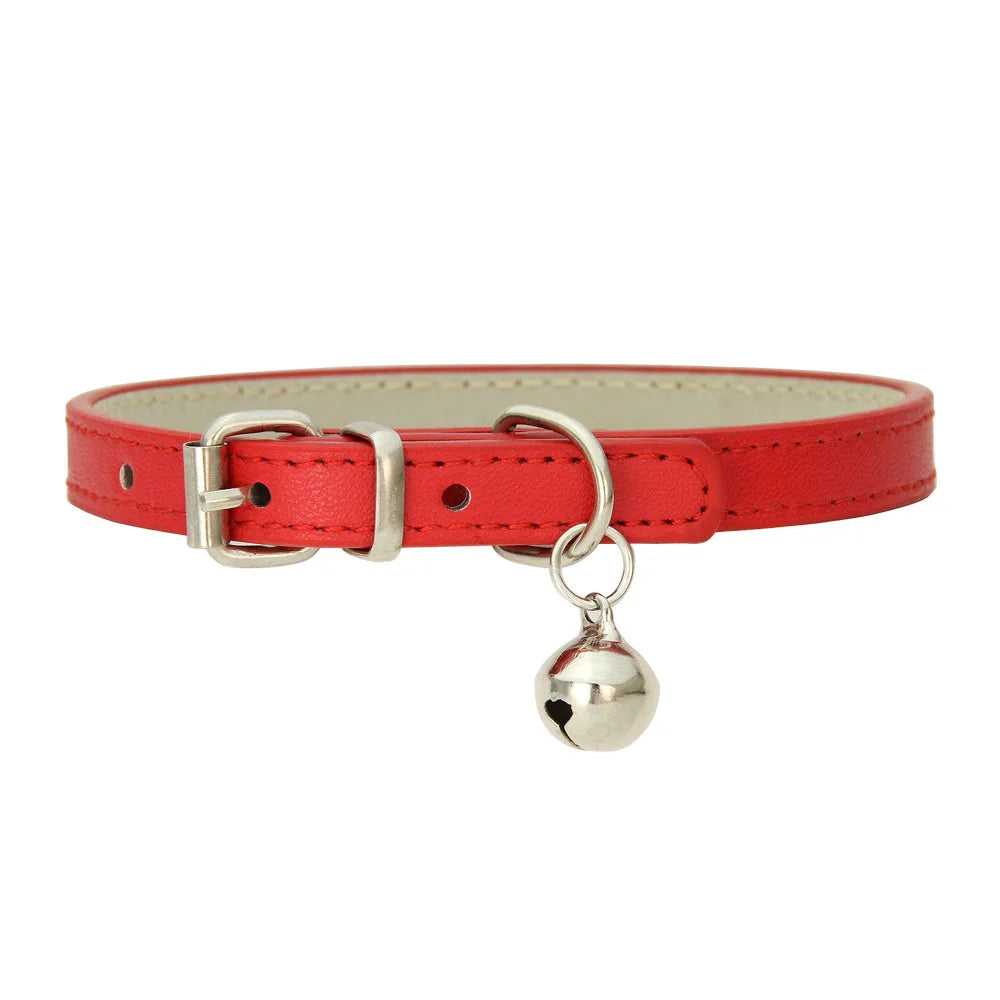 Colliers  en cuir durable pour chat