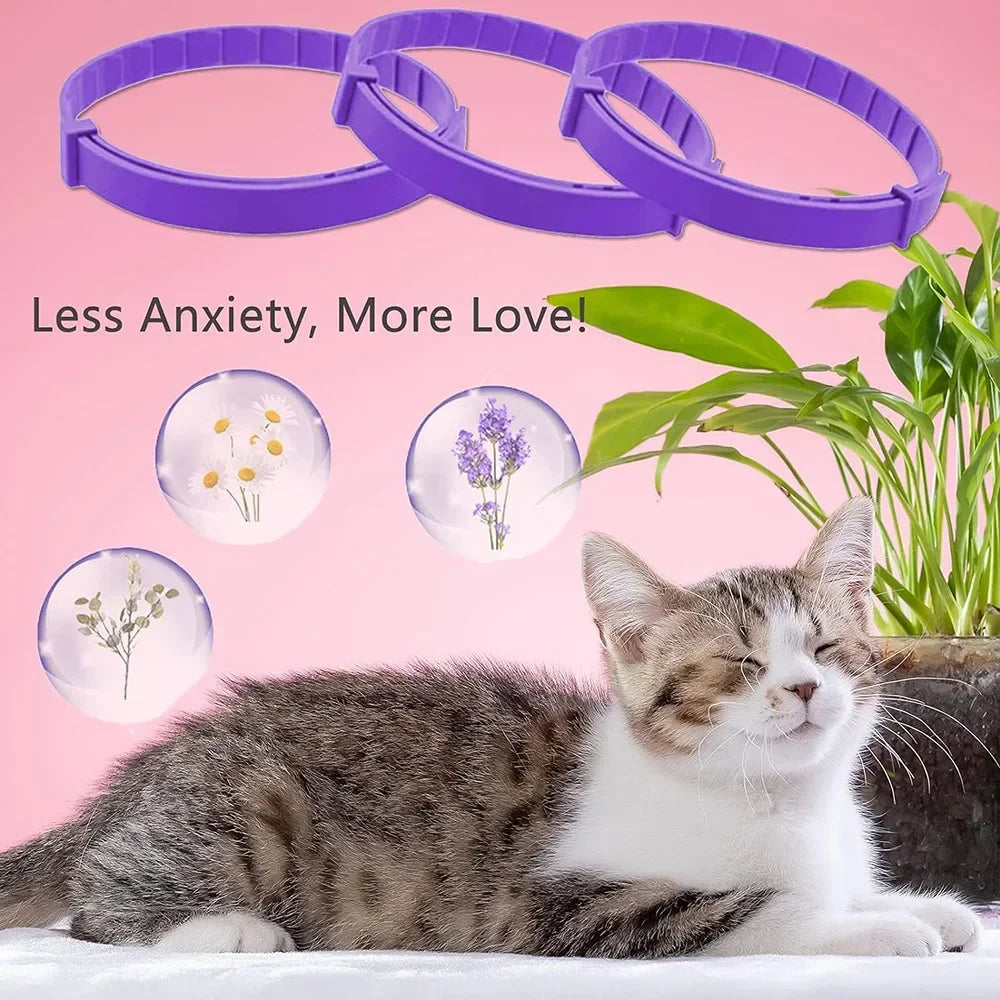 Collier apaisant en plastique pour chien et chat