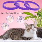 Collier apaisant en plastique pour chien et chat