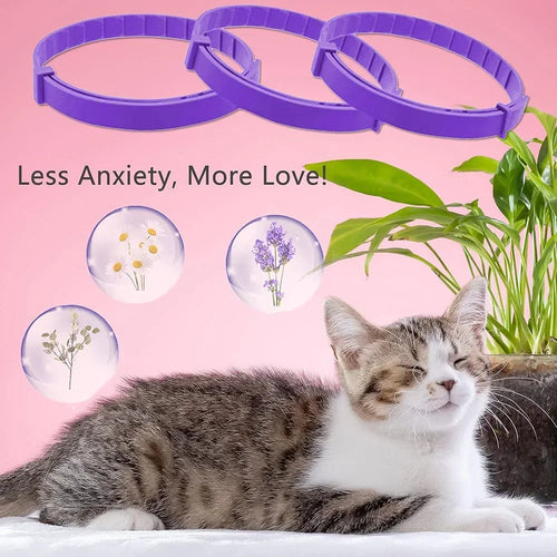 Collier apaisant en plastique pour chien et chat