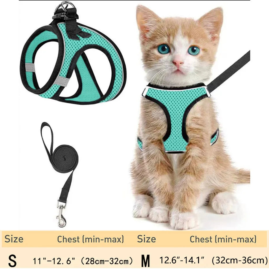 harnais pour chat haut de gamme