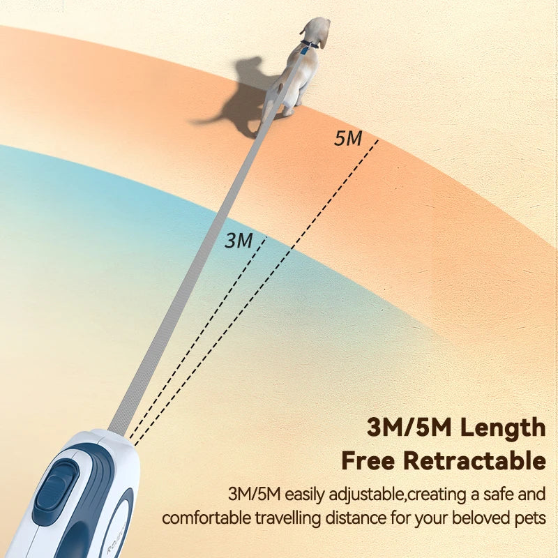 laisse retractable pour chat