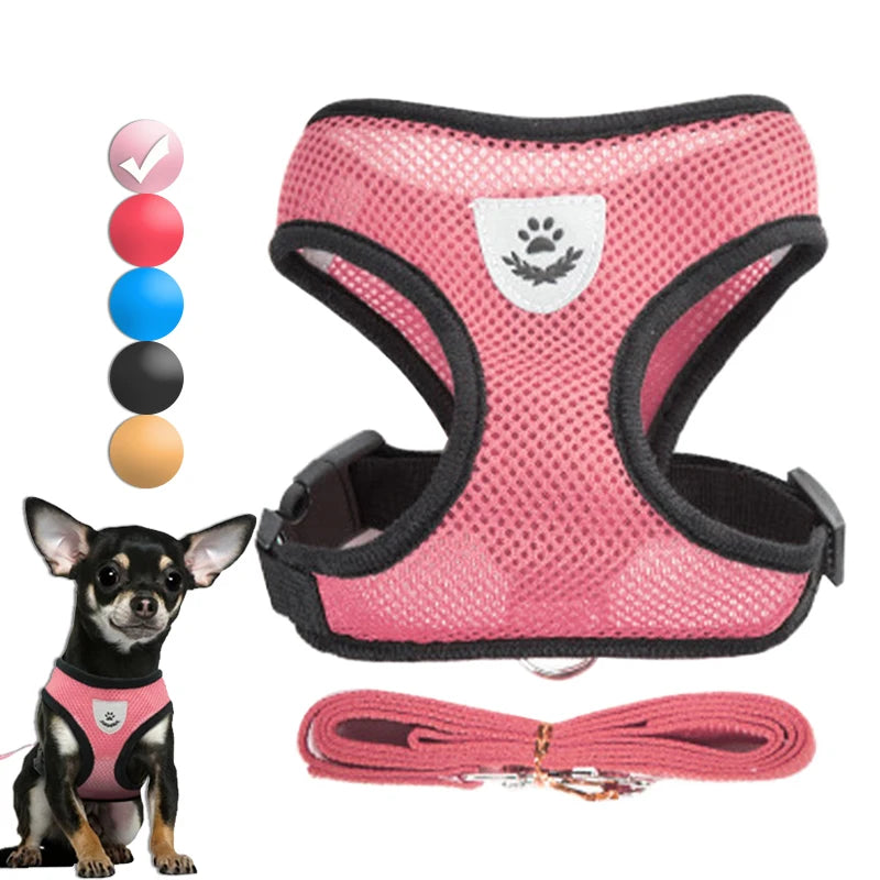 Harnais pour chat gilet respirant anti-fuite