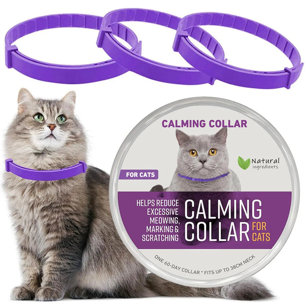 Collier apaisant en plastique pour chien et chat