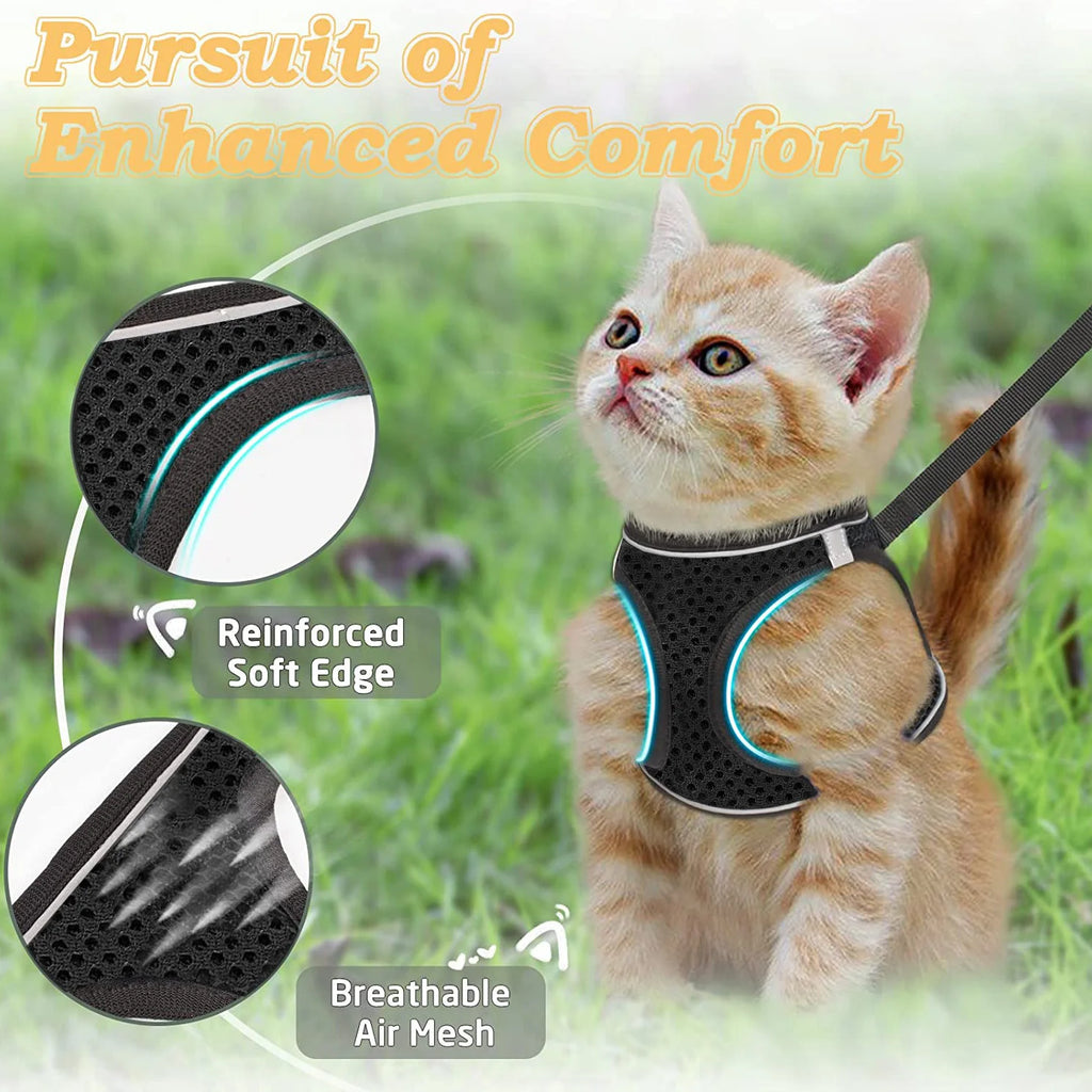 harnais pour chat haut de gamme