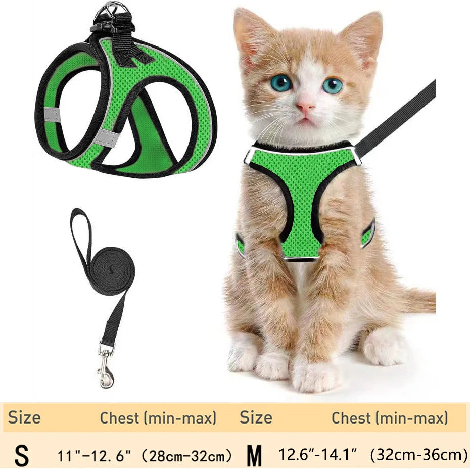 harnais pour chat haut de gamme