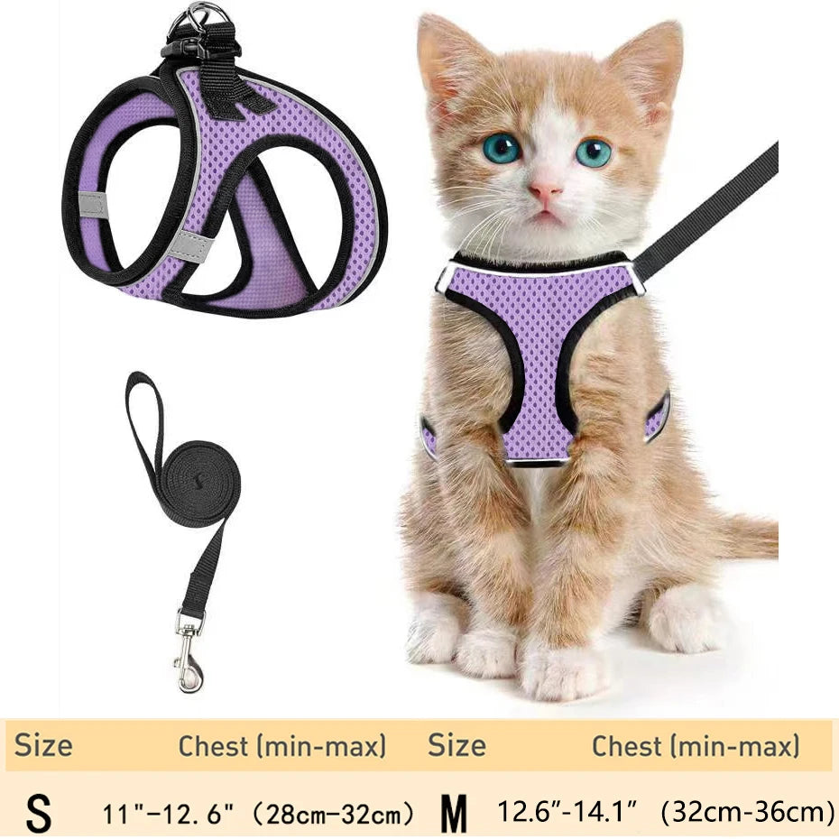 harnais pour chat haut de gamme