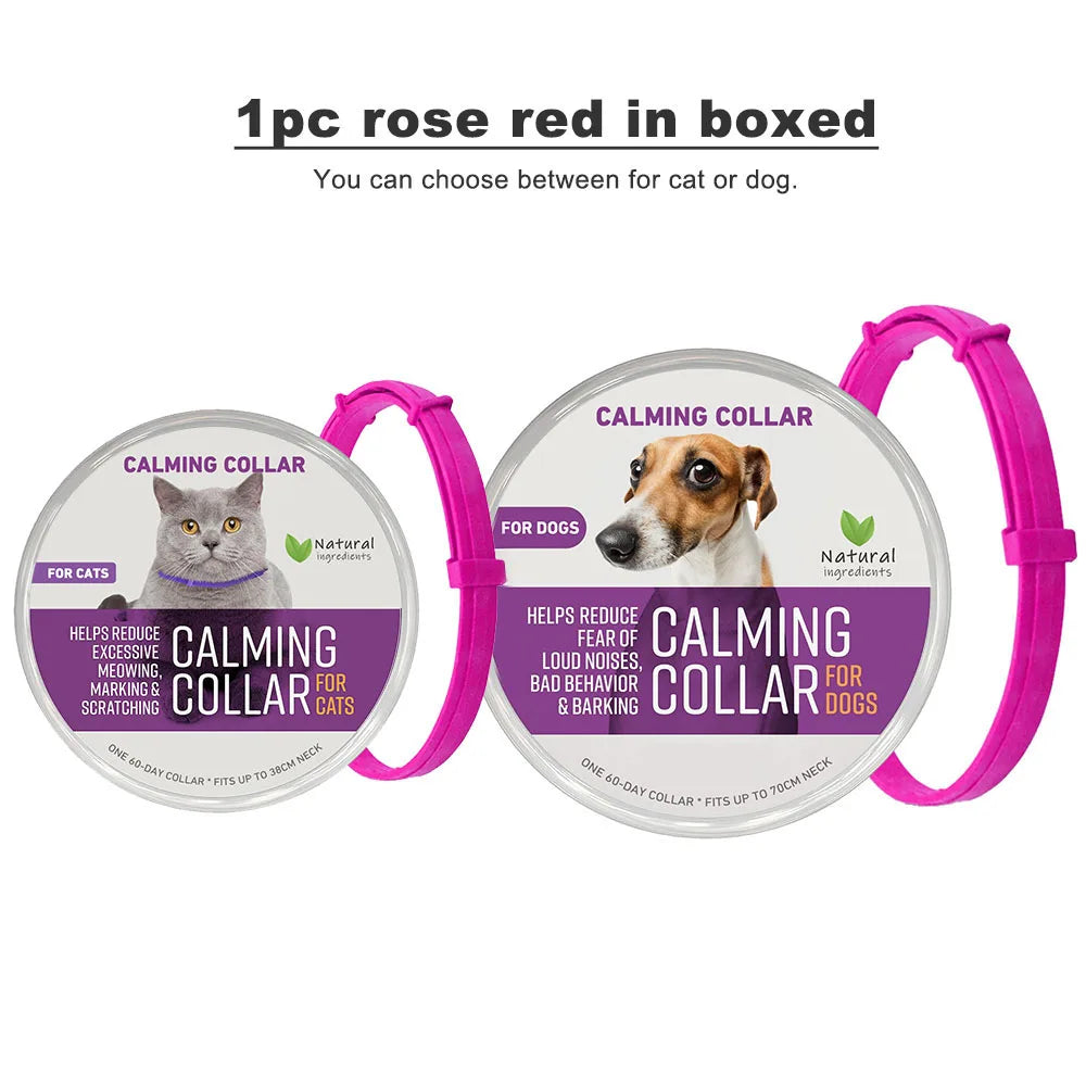 Collier apaisant en plastique pour chien et chat