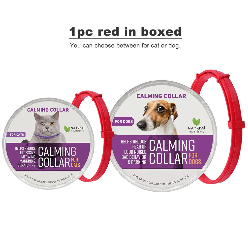 Collier apaisant en plastique pour chien et chat