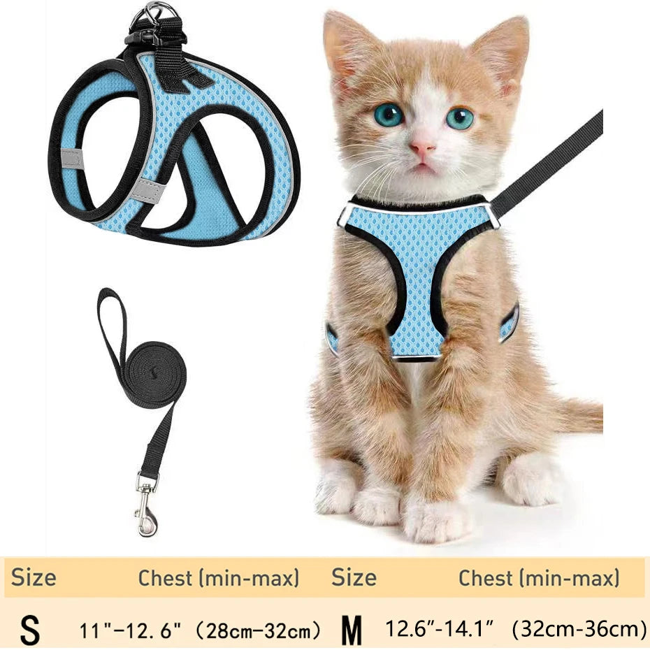harnais pour chat haut de gamme