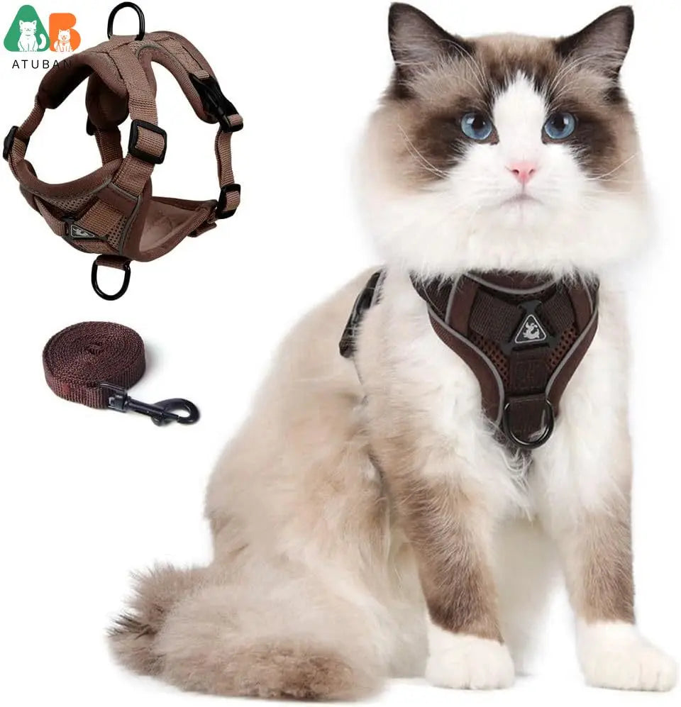 harnais pour chat facile à metre