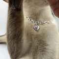 Collier chat à breloques couleur or 6mm