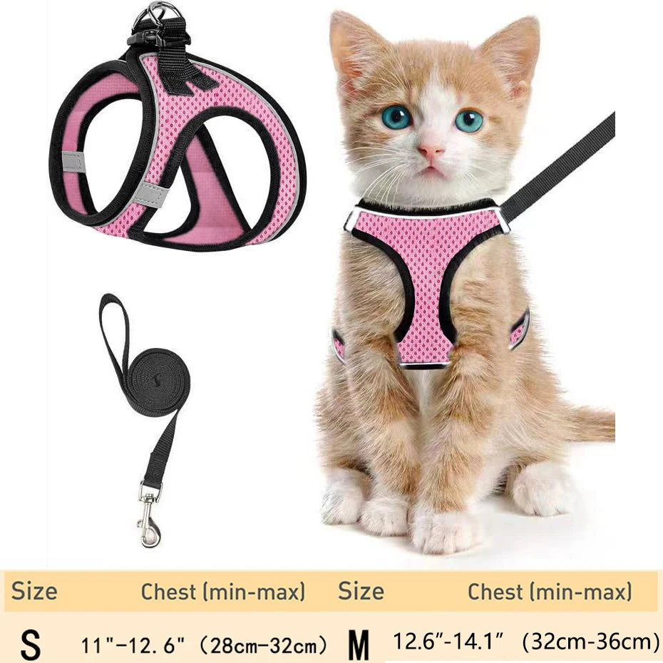 harnais pour chat haut de gamme