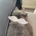 Chat gris portant des ailes d’ange sur un canapé

