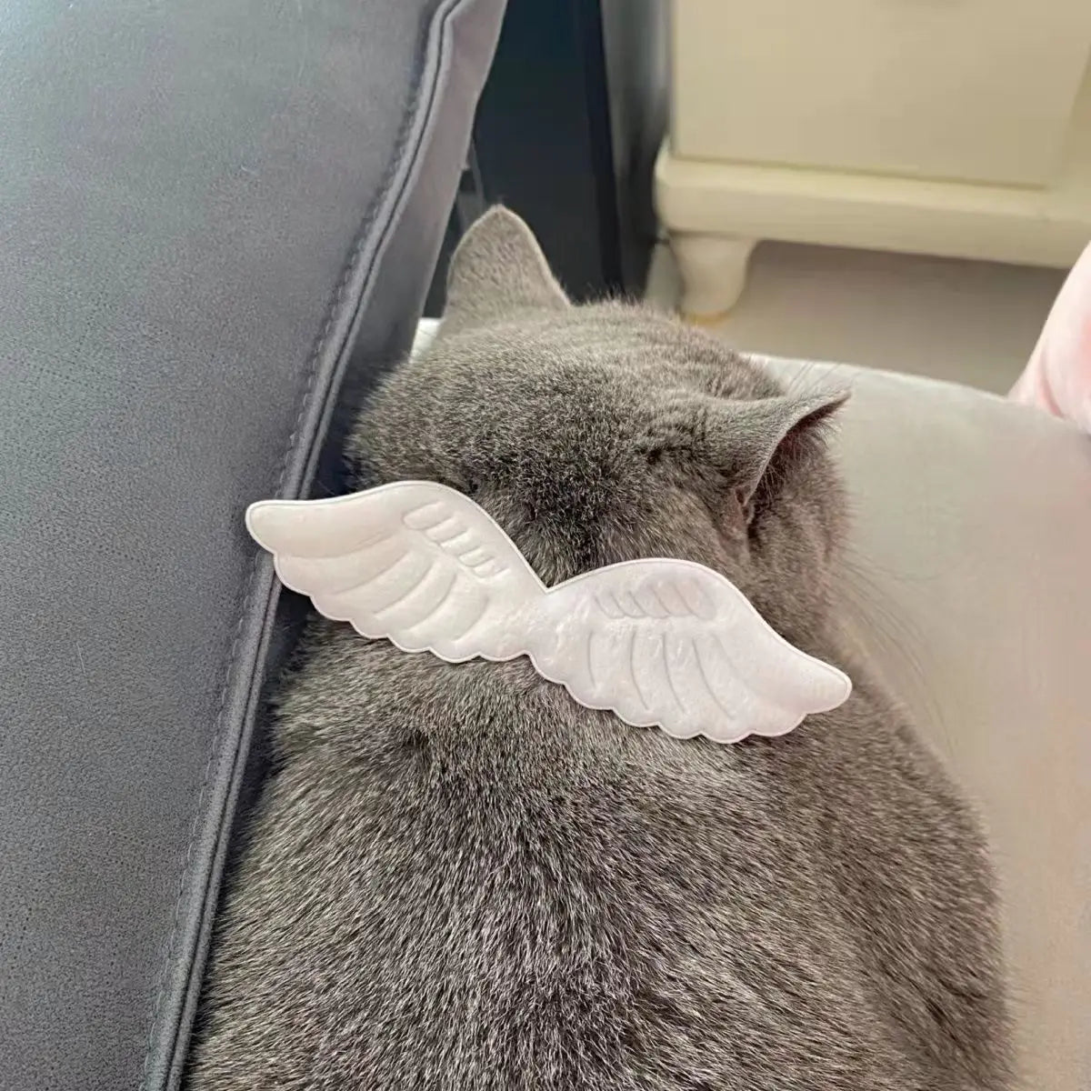Chat gris portant des ailes d’ange sur un canapé

