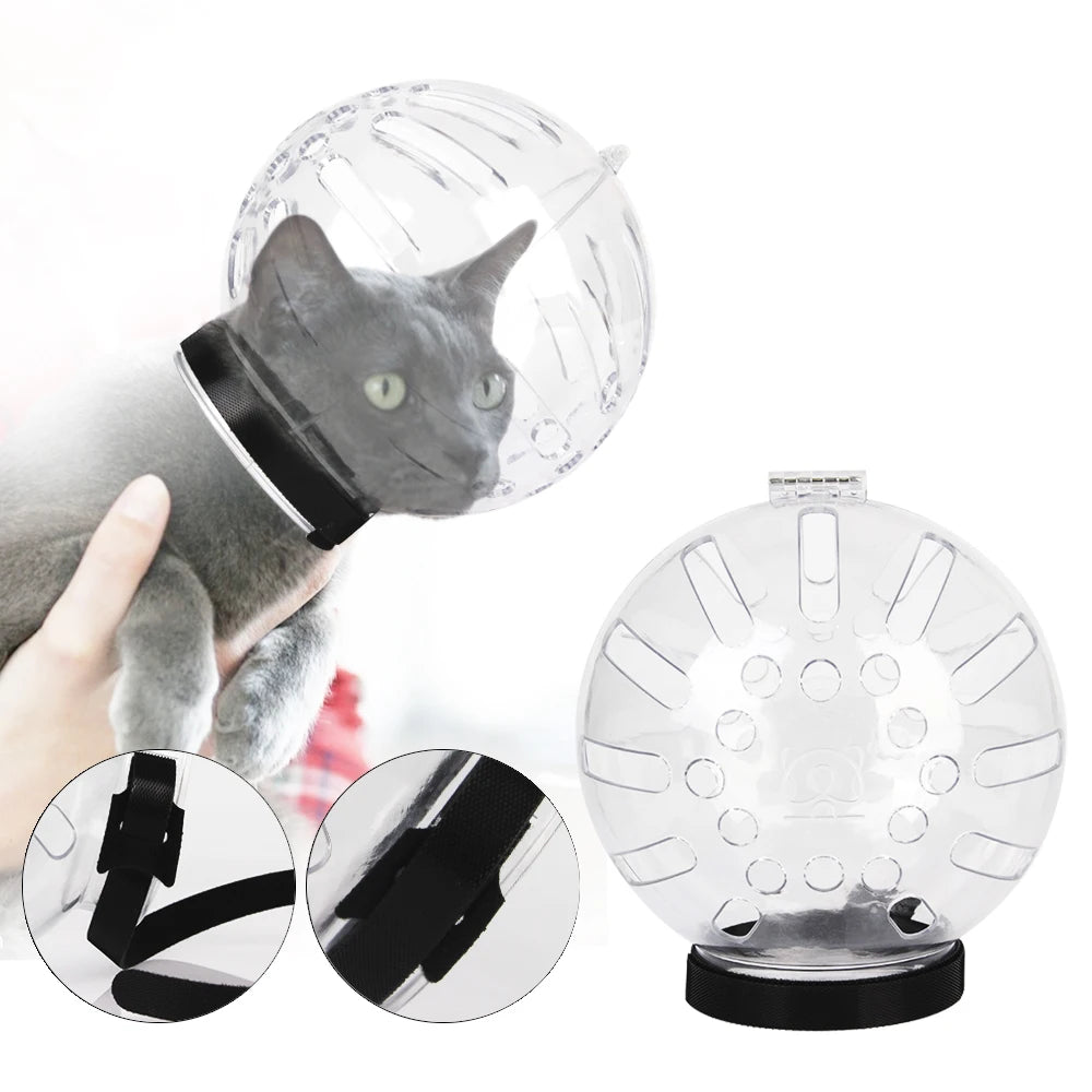 Ballon d’exercice pour animaux avec un chat à l’intérieur et détails en gros plan sur fond blanc

