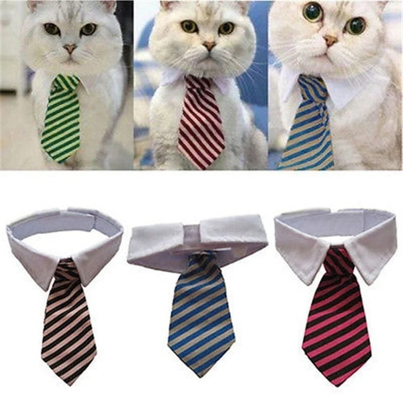 Collage de chats portant différentes cravates avec différents motifs.

