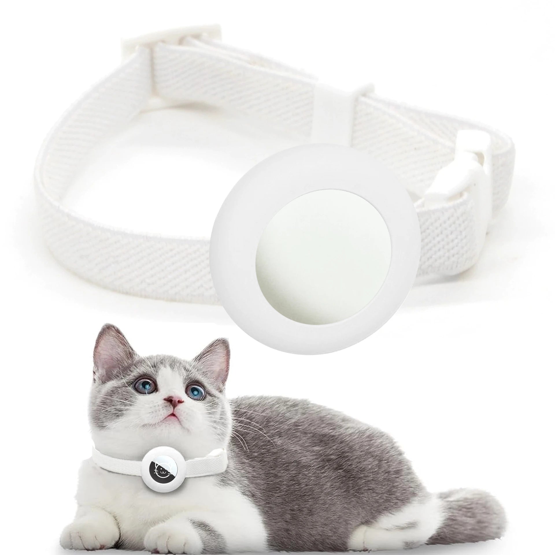 Chat portant un collier GPS blanc sur fond blanc

