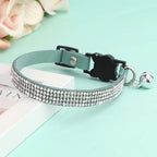 Collier pour chat orné de strass sur une surface bleu clair avec des fleurs en arrière-plan

