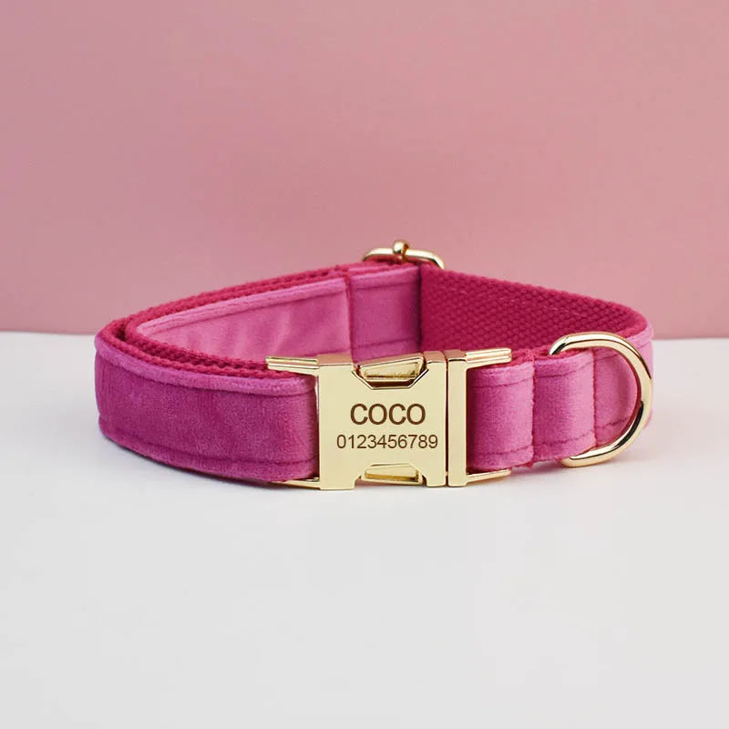 collier rose pose sur un fond blanc