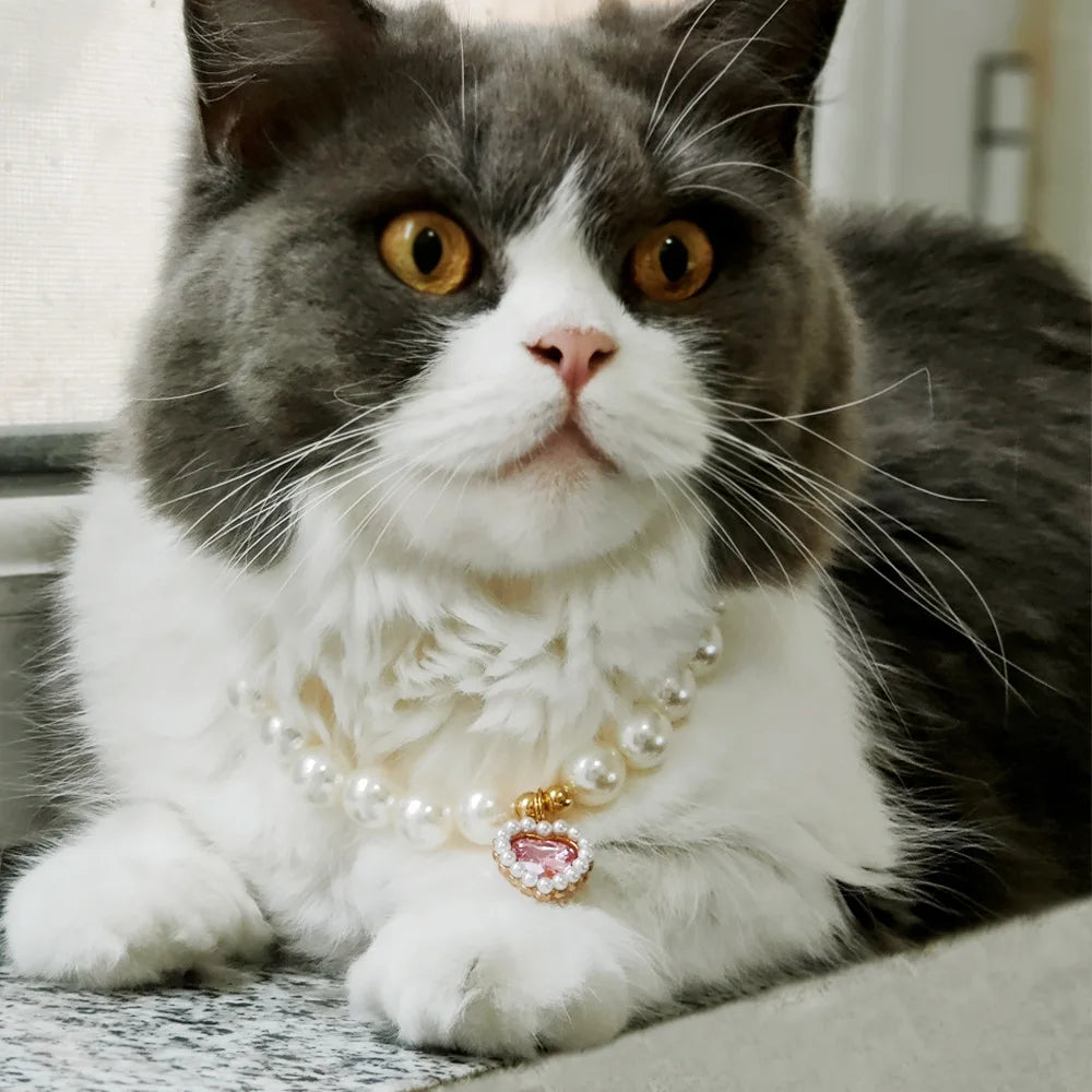 Chat portant un collier décoratif avec un charme en forme de cœur rose sur une surface claire.

