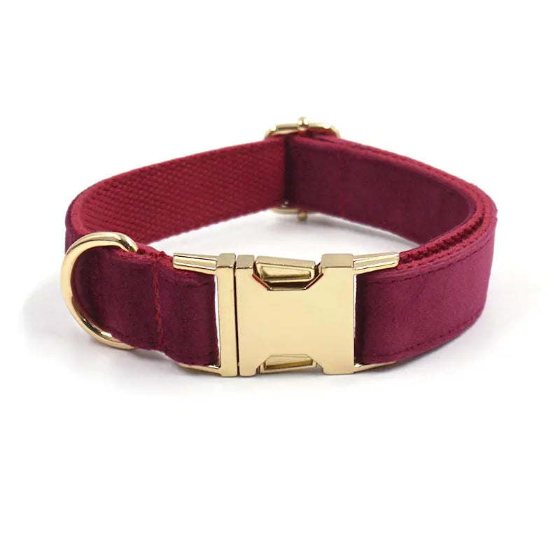 Collier rouge avec boucle dorée sur fond blanc

