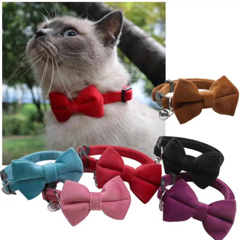 Chat portant un collier nœud papillon rouge avec divers autres colliers nœud papillon exposés.

