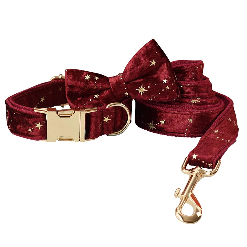 Collier et laisse en velours rouge avec des accents dorés sur fond blanc


