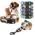 Collier coloré pour animaux, laisse et harnais avec un chien et un chat sur fond blanc

