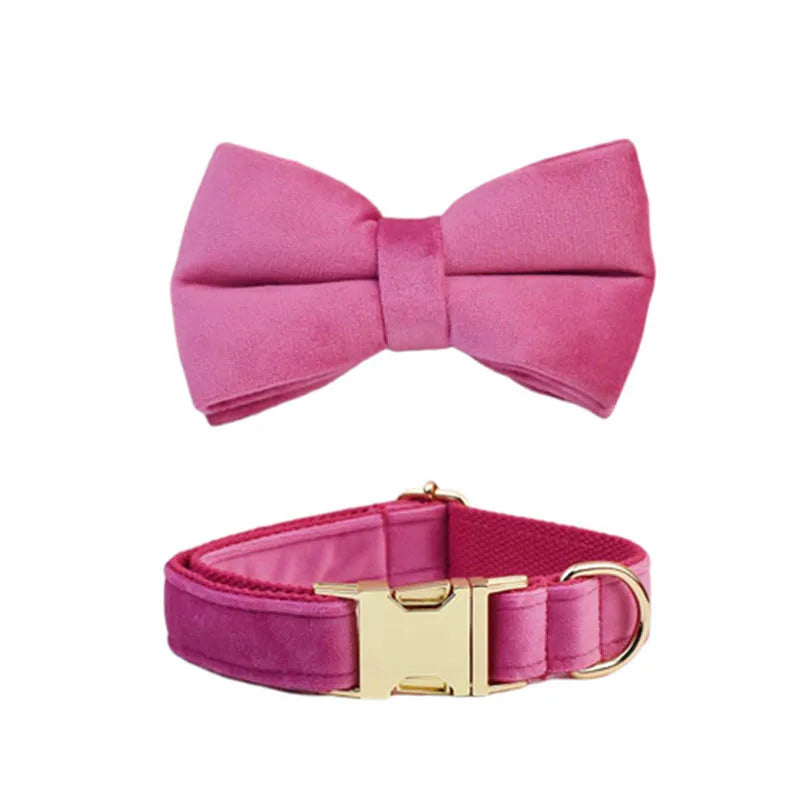 collier et noeud ppillon sur un fond blanc