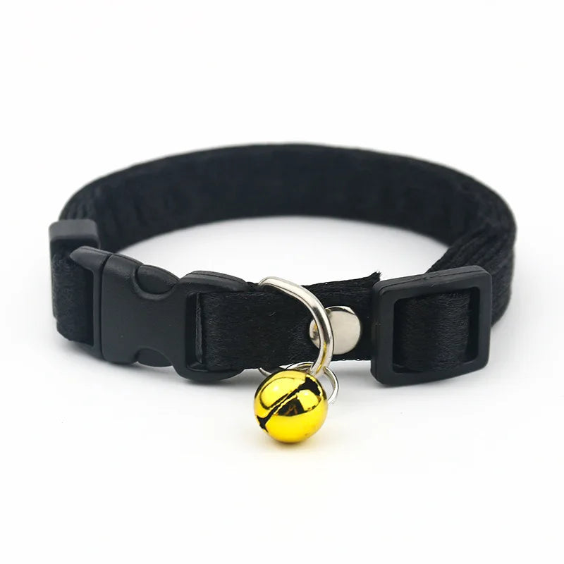 Collier noir pour animaux avec une clochette jaune sur fond blanc

