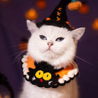 Chat portant un costume sur le thème d’Halloween avec un chapeau de sorcière et un collier en bonbon.

