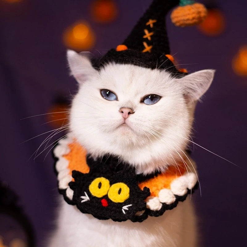 Chat portant un costume sur le thème d’Halloween avec un chapeau de sorcière et un collier en bonbon.

