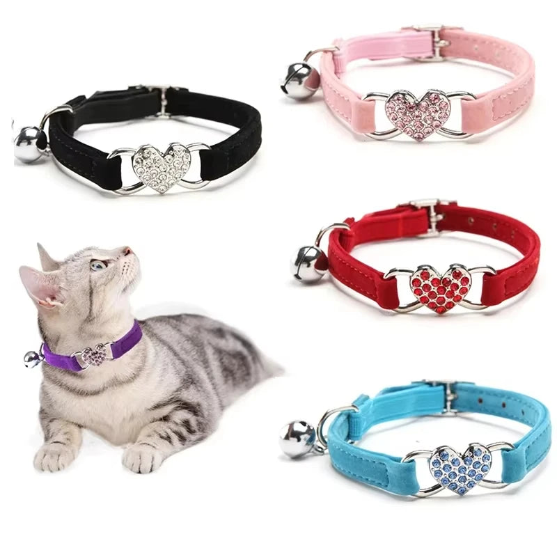 Ensemble de colliers colorés pour chats avec des motifs de cœurs et une clochette, représentant un chat portant un collier violet.
