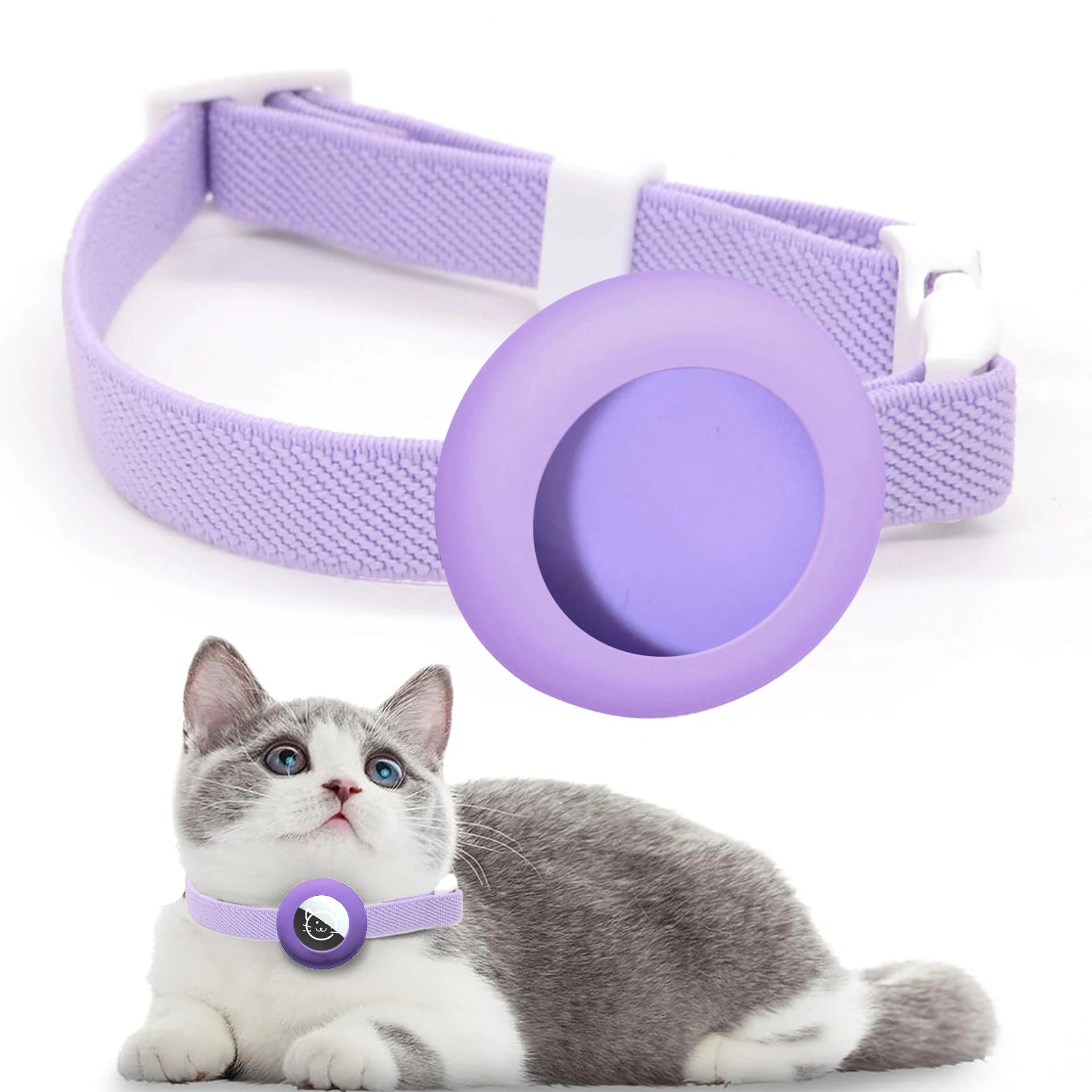 Collier violet avec un motif rond sur fond blanc, représentant un chat portant le collier.


