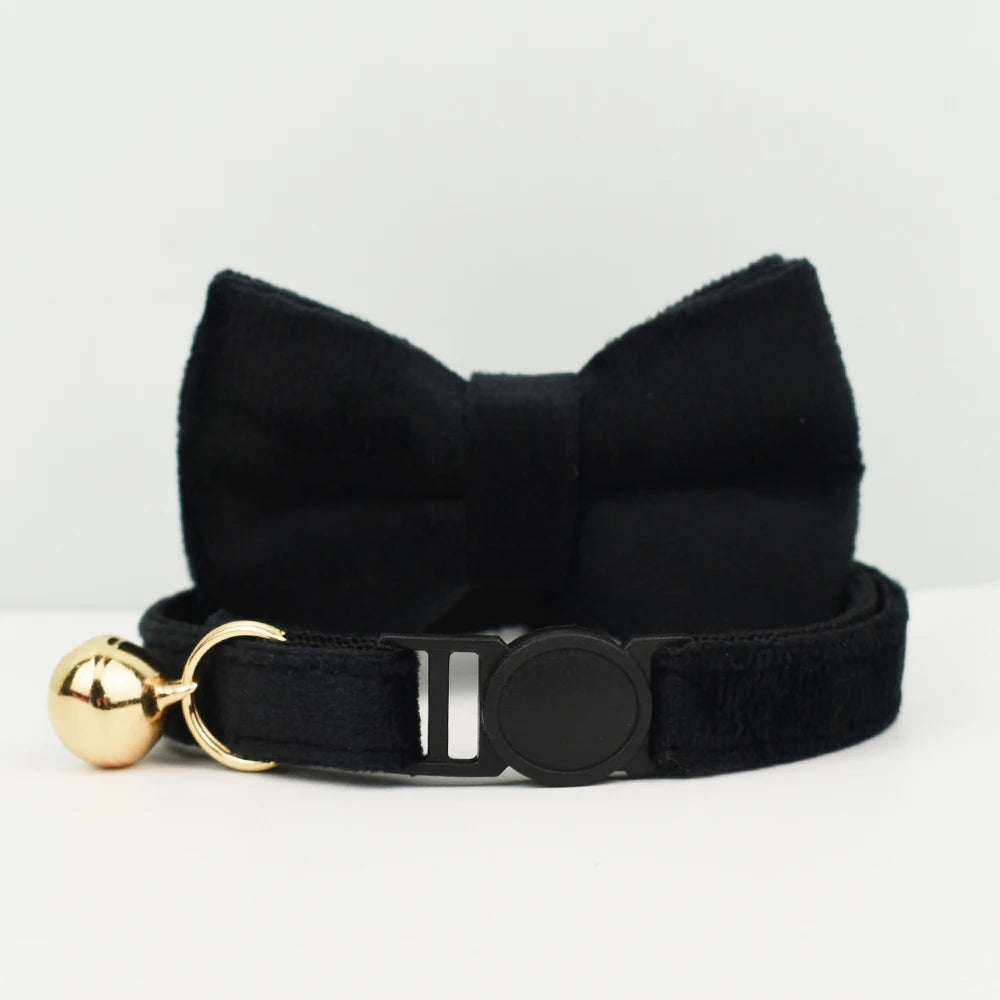 Nœud papillon noir avec une fermoirette dorée sur fond blanc

