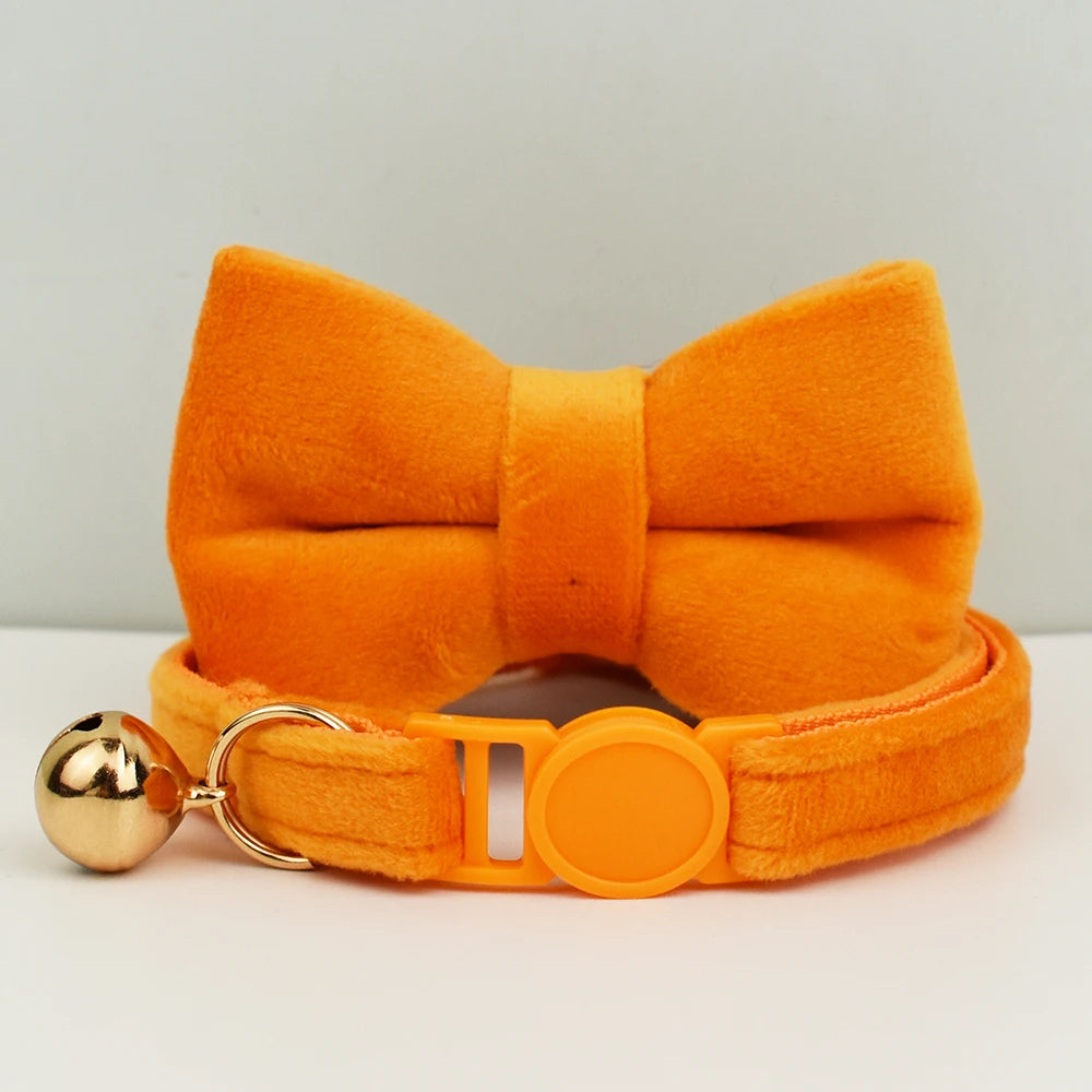 Nœud papillon orange et col sur fond gris clair
