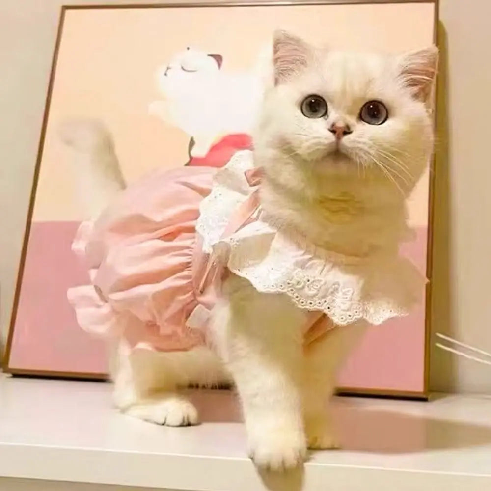 Chat portant une robe rose avec un fond fleuri

