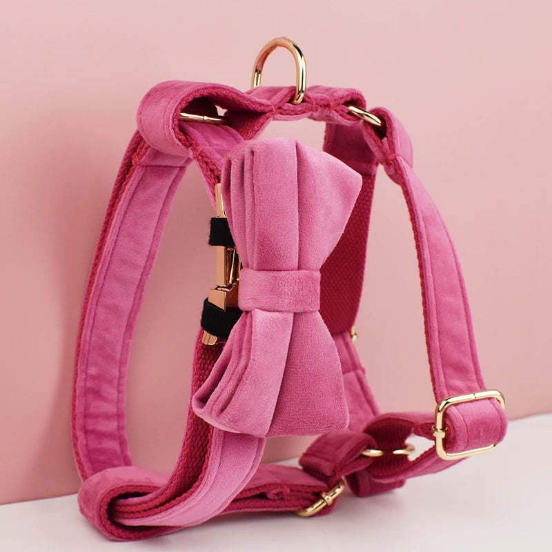 Harnais rose pour chiat avec un nœud sur fond rose

