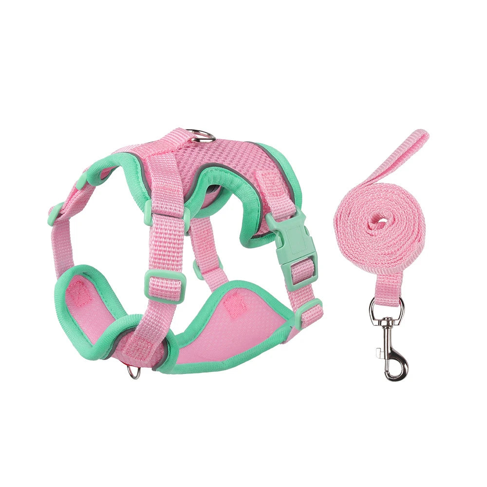 Harnais et laisse roses et verts sur fond blanc

