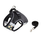 Harnais pour chien avec motif floral et laisse assortie sur fond blanc
