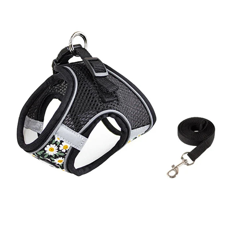 Harnais pour chien avec motif floral et laisse assortie sur fond blanc
